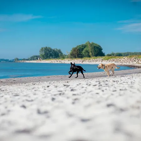 Haus In Nahe Ostseestrand * Damp