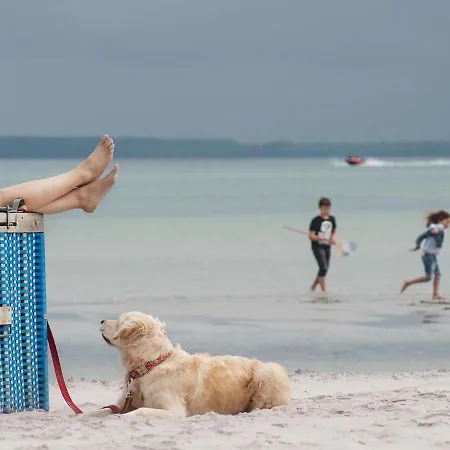 Haus In Nahe Ostseestrand